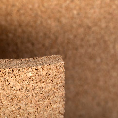 A large piece of cork. Image Credit: Shutterstock.com/vovidzha